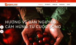 Hoanganh.com.vn thumbnail