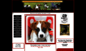 Hobbithilljackrussells.homestead.com thumbnail