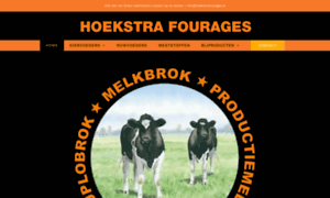 Hoekstrafourages.nl thumbnail