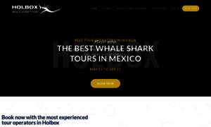 Holboxwhalesharktours.com thumbnail