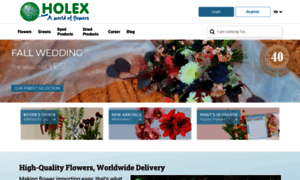 Holex.com thumbnail