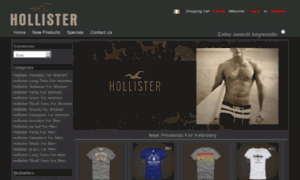 Hollisterireland.com thumbnail