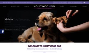 Hollywooddog.ie thumbnail