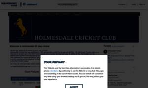 Holmesdale.play-cricket.com thumbnail