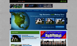 Holsteinplaza.com thumbnail