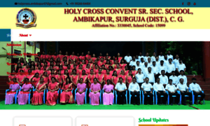 Holycrossambikapur.com thumbnail