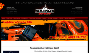 Holzinger-sport.de thumbnail