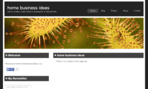 Homebusinessideas.n.nu thumbnail