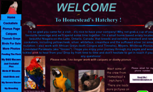Homesteadshatchery.homestead.com thumbnail