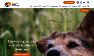 Hondenbescherming.nl thumbnail