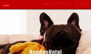 Hondenhotelpeggy.be thumbnail