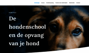 Hondenschool-appel.nl thumbnail