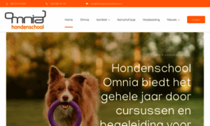 Hondenschoolomnia.nl thumbnail