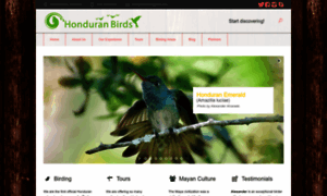 Honduranbirds.com thumbnail