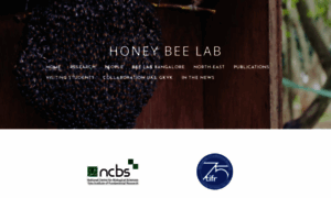 Honeybeelab.weebly.com thumbnail
