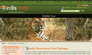 Honeymoon-tours.indianluxurytours.net thumbnail