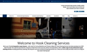 Hookcleaningservices.co.uk thumbnail