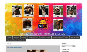 Hopedogrescue.blogspot.sg thumbnail