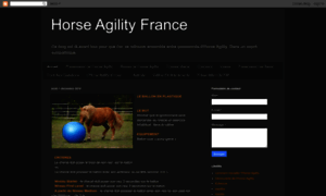 Horse-agility.blogspot.fr thumbnail