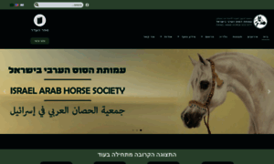 Horse.co.il thumbnail