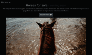 Horses.ie thumbnail