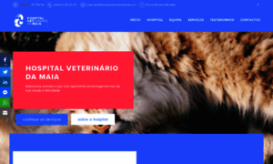 Hospitalveterinariodamaia.com thumbnail