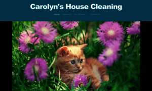 Housecleaningsimivalley.com thumbnail