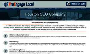 Houston-seo-company.com thumbnail