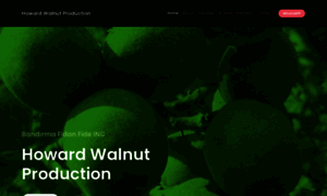 Howardwalnutproduction.com thumbnail