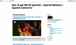 Howtogetridofsquirrels.blogspot.com thumbnail