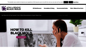 Howtoremoveblackmold.com thumbnail