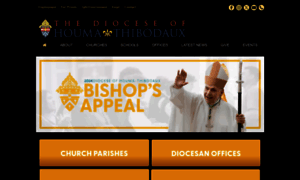 Htdiocese.org thumbnail