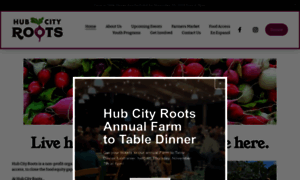 Hubcityroots.org thumbnail