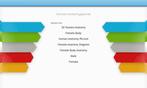 Human-anatomyped.net thumbnail