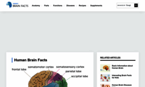 Humanbrainfacts.org thumbnail