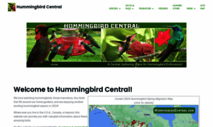 Hummingbirdcentral.com thumbnail