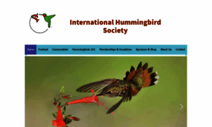 Hummingbirdsociety.org thumbnail