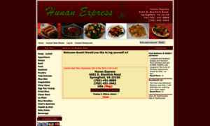 Hunanexpressdelivery.com thumbnail