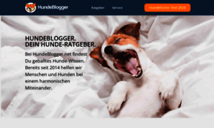 Hundeblogger.net thumbnail