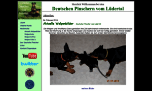 Hundefreunde-luedertal.de thumbnail