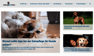 Hundeinfoportal.de thumbnail