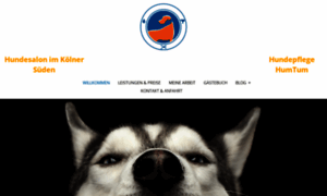 Hundepflege-humtum.de thumbnail