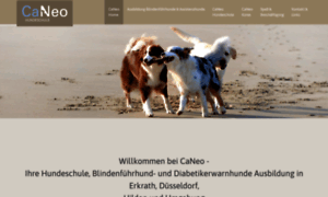 Hundeschule-caneo.de thumbnail