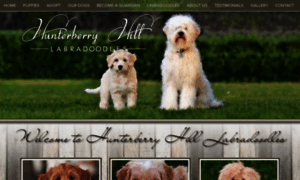 Hunterberryhilllabradoodles.com thumbnail