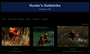 Huntersgoldstrike.com thumbnail