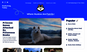 Huskymag.com thumbnail