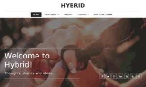 Hybrid-style1.sunflowertheme.com thumbnail