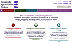 Hydrocephalusscotland.org.uk thumbnail