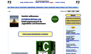 Hydrocephalusseite.de thumbnail