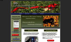 Ibscaninetraining.com thumbnail